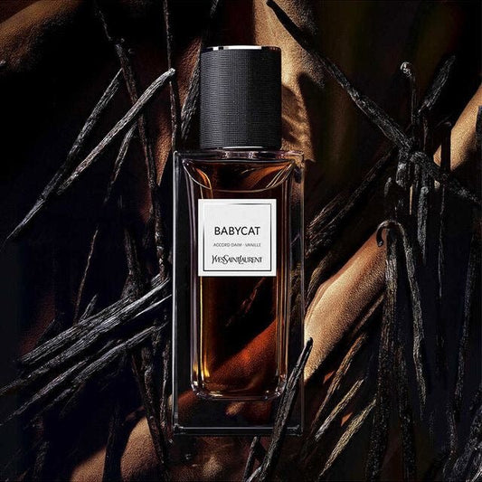 BabyCat - Vestiaire YSL