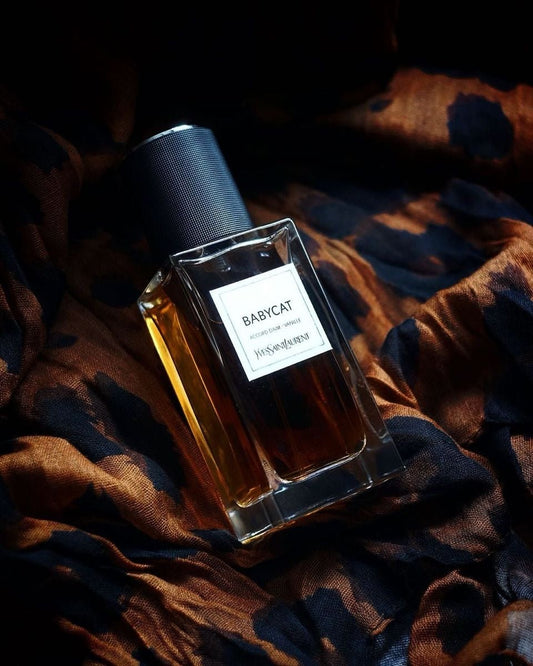 BabyCat - Vestiaire YSL