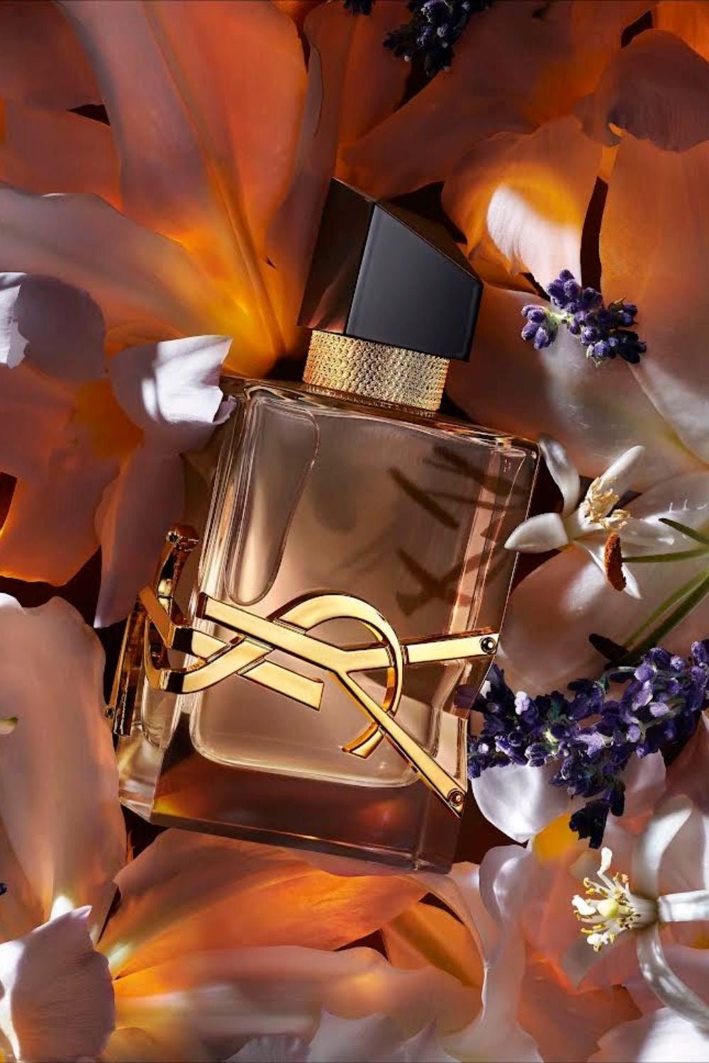 Libre Flower & Flames